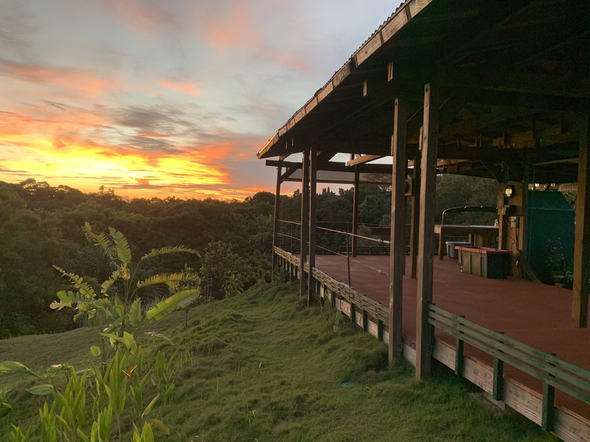 Root to Rise Up — The Yoga Garden